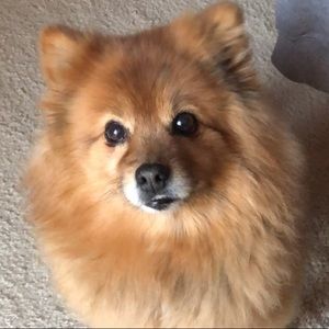 Meet your Posher, Bethany